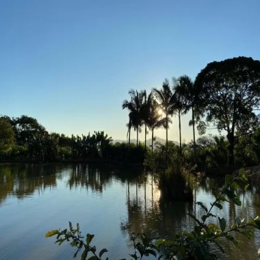 177.000M2/5 KM DO CENTRO/PLANTAÇÃO PUPUNHA/IDEAL INVESTIDOR 177.000M2/5 KM DO CENTRO/PLANTAÇÃO PUPUNHA/IDEAL INVESTIDOR