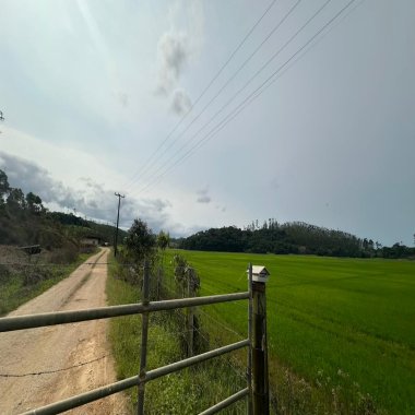 297.000M2 / DOCUMENTAÇÃO OK/PÉRTO SC-280 297.000M2 / DOCUMENTAÇÃO OK/PÉRTO SC-280