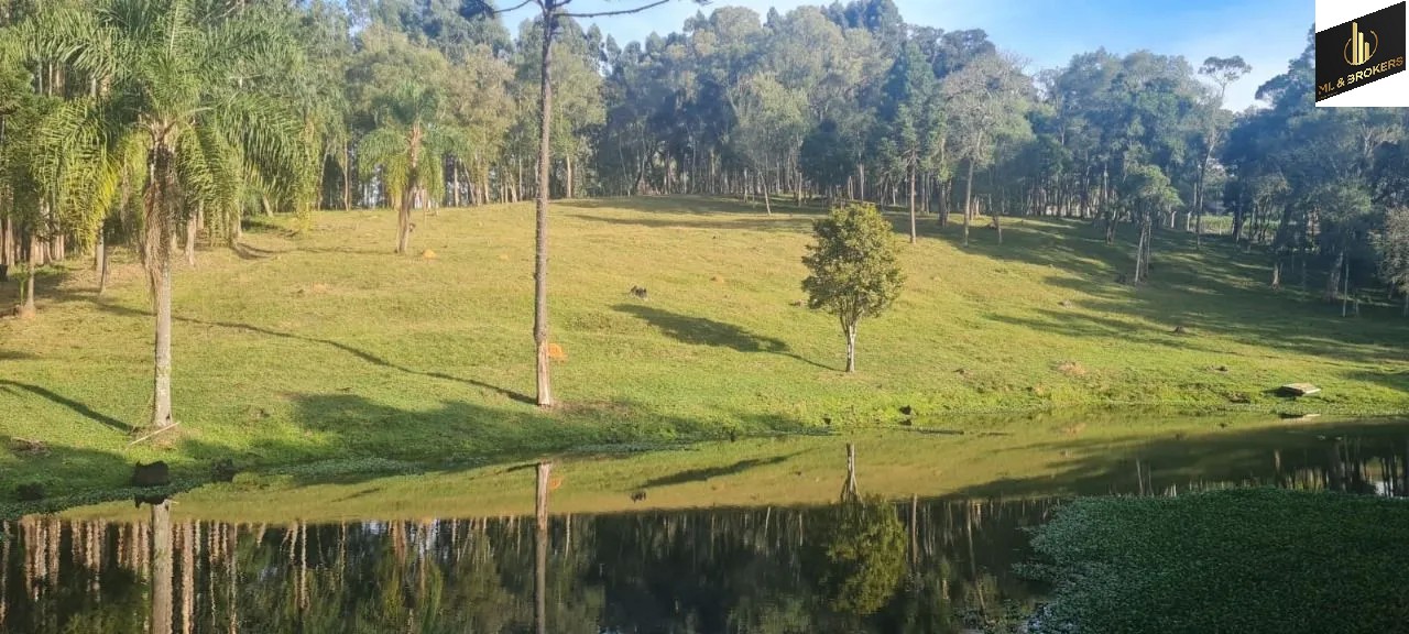 Sítio / Chácara 2 quartos para Venda no bairro Areia Branca dos Assis em Mandirituba