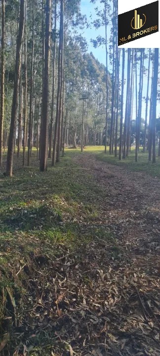 Sítio / Chácara 2 quartos para Venda no bairro Areia Branca dos Assis em Mandirituba