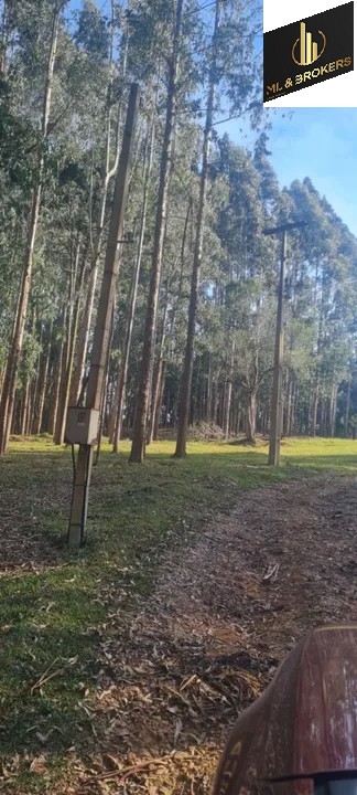 Sítio / Chácara 2 quartos para Venda no bairro Areia Branca dos Assis em Mandirituba