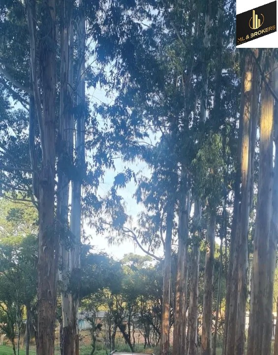 Sítio / Chácara 2 quartos para Venda no bairro Areia Branca dos Assis em Mandirituba