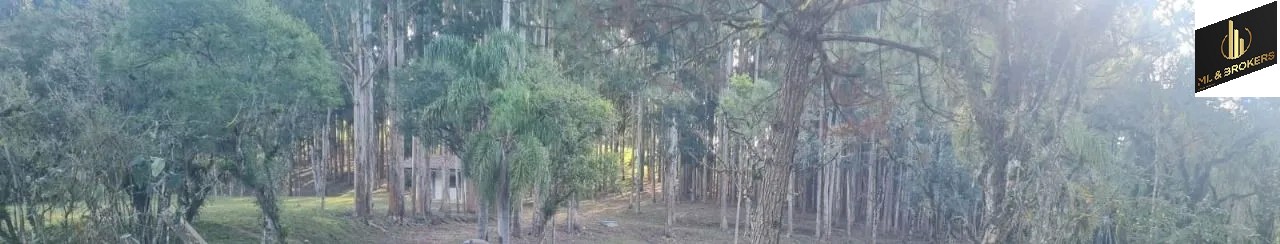 Sítio / Chácara 2 quartos para Venda no bairro Areia Branca dos Assis em Mandirituba