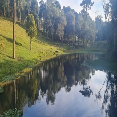 Sítio / Chácara 2 quartos para Venda no bairro Areia Branca dos Assis em Mandirituba