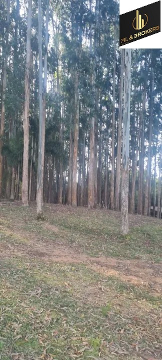 Sítio / Chácara 2 quartos para Venda no bairro Areia Branca dos Assis em Mandirituba