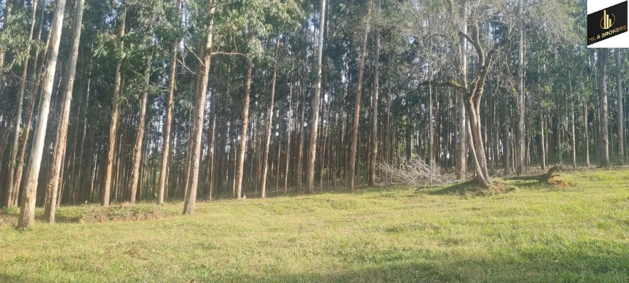 Sítio / Chácara 2 quartos para Venda no bairro Areia Branca dos Assis em Mandirituba