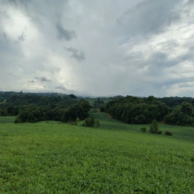 169.400M/7 ALQUEIRES/3KM BR 090/DOCUMENTADA 169.400M/7 ALQUEIRES/3KM BR 090/DOCUMENTADA