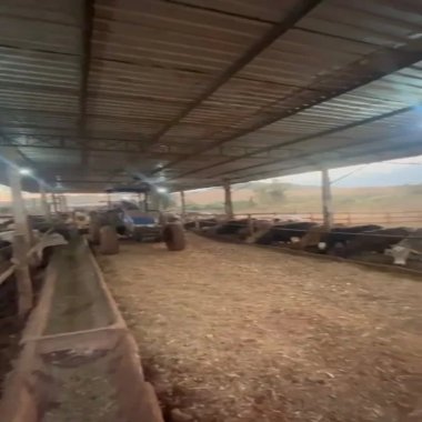 242.000 M2 / 5 KM DE LONDRINA / OTIMA LOCALIZAÇÃO/IDEAL INVESTIDORES 242.000 M2 / 5 KM DE LONDRINA / OTIMA LOCALIZAÇÃO/IDEAL INVESTIDORES