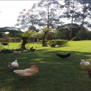 36.000M2/OTIMA LOCALIZAÇÃO/IDEAL INVESTIDORES 36.000M2/OTIMA LOCALIZAÇÃO/IDEAL INVESTIDORES