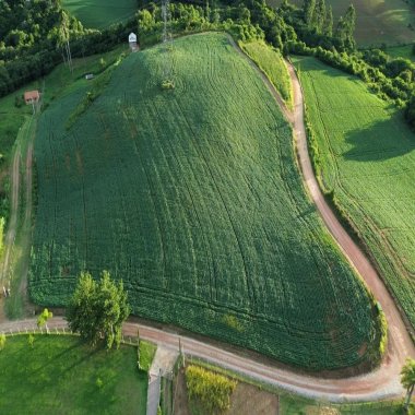 29.000M2/ 3 KM IGREJA SERRINHA/DOCUMENTADO/IDEAL INVESTIDORES 29.000M2/ 3 KM IGREJA SERRINHA/DOCUMENTADO/IDEAL INVESTIDORES