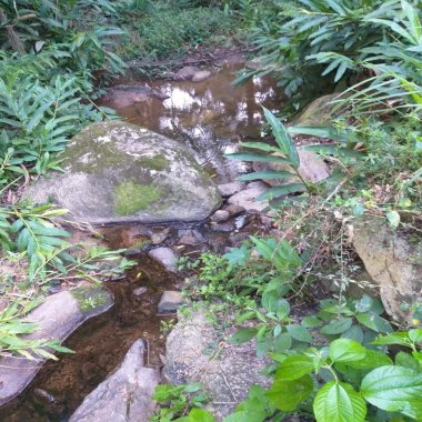 41.370M2/RIBEIRÃO DOS SCHEFFER/ IDEAL INVESTIDORES/DR ULYSSES 41.370M2/RIBEIRÃO DOS SCHEFFER/ IDEAL INVESTIDORES/DR ULYSSES