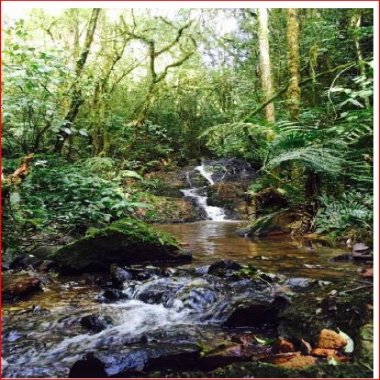 CONDOMONIO CHÁCARAS/VENDA PARCELADAS/POUCAS UNIDADES CONDOMONIO CHÁCARAS/VENDA PARCELADAS/POUCAS UNIDADES