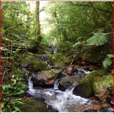 40.781/ESTRADA SÃO JOÃO POVINHO/VISTA ESCARPAS DA SERRA 40.781/ESTRADA SÃO JOÃO POVINHO/VISTA ESCARPAS DA SERRA