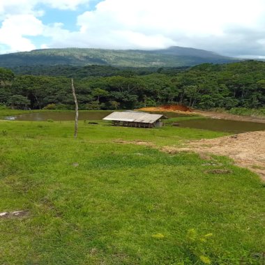 CHACARA MARGENS BR 376/50KM GARUVA/IDEAL INVESTIDORES CHACARA MARGENS BR 376/50KM GARUVA/IDEAL INVESTIDORES