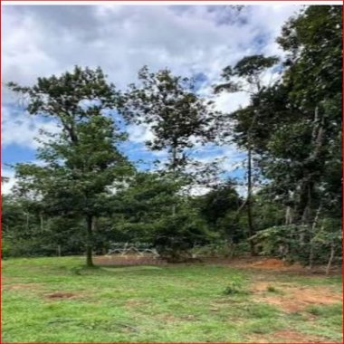 20.000M2/BAIRRO CAPINZAL/OTIMA LOCALIZAÇÃO/IDEAL INVESTIDOR 20.000M2/BAIRRO CAPINZAL/OTIMA LOCALIZAÇÃO/IDEAL INVESTIDOR