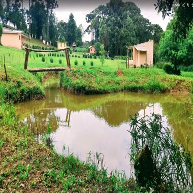 20.000M2/1 KM ATE ASFALTO/PRONTA PARA SEU LAZER/ 11 KM ARAUCARIA/IDEAL AIRBNB 20.000M2/1 KM ATE ASFALTO/PRONTA PARA SEU LAZER/ 11 KM ARAUCARIA/IDEAL AIRBNB